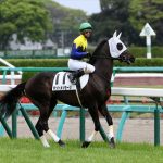 【新馬戦】ホットメッセージ末脚鋭く3着に食い込む!【2015年11月1日】