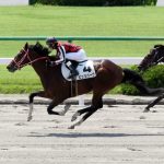 【新馬戦】ピッツバーグが新馬戦2着！兄モーリスに続け...【2015年10月24日】