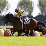 【新馬戦】カジノブギ、接戦制す！父ワークホース血が騒ぐ！【2015年10月31日】