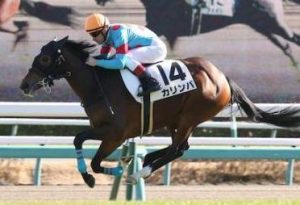 新馬戦 ルーラーシップ産駒のカリンバがデビュー勝ち 16年12月17日 Pog王 虎徹 の新馬戦を斬る 競馬予想のヒント