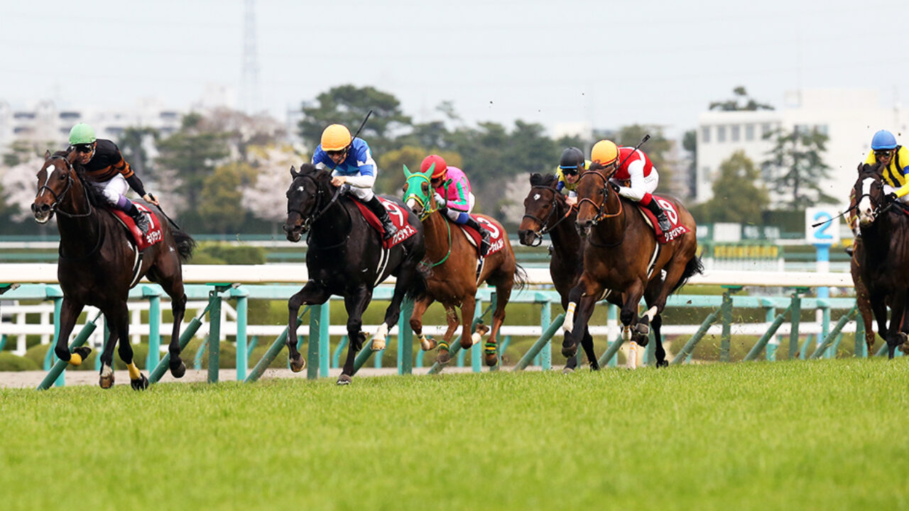 大阪杯 17 データ分析 阪神芝00mの傾向とg1レースの特性を踏まえて フランケルjr の競馬予想