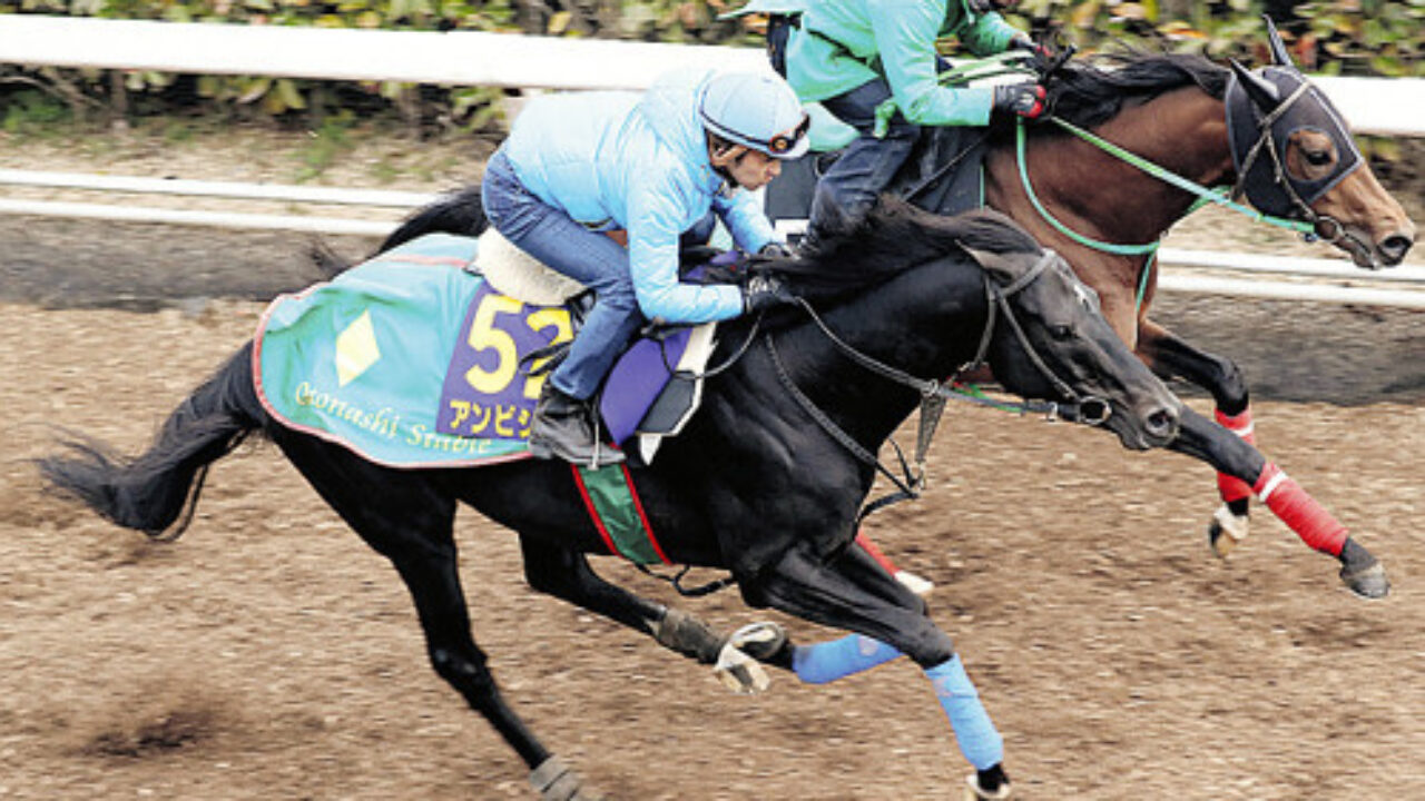 大阪杯 17 追い切り診断 アンビシャス マカヒキに強い上昇あり フランケルjr の競馬予想