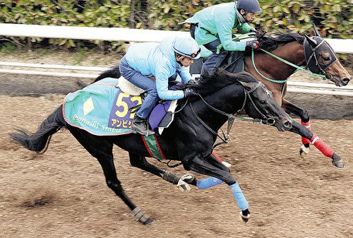 大阪杯 17 追い切り診断 アンビシャス マカヒキに強い上昇あり フランケルjr の競馬予想