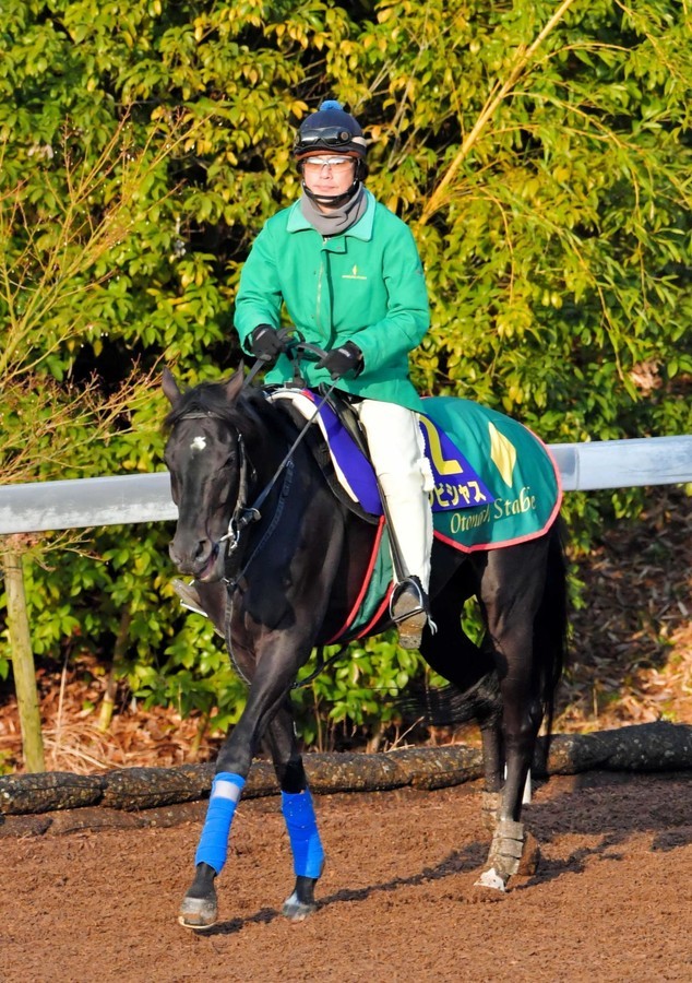 大阪杯 17 予想 アンビシャスとは大望 野心という意味である フランケルjr の競馬予想