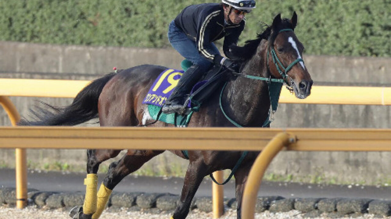 天皇賞春 17 サイン予想 大正ロマンはbs11 Zガンダムのシャアから まだだ まだ終わらんよ シャー フランケルjr の競馬予想