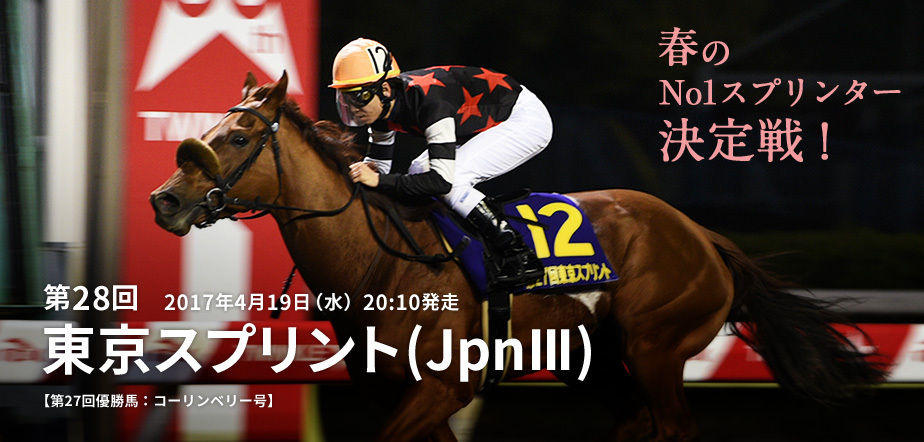 キャメロット フランケルjr の競馬予想