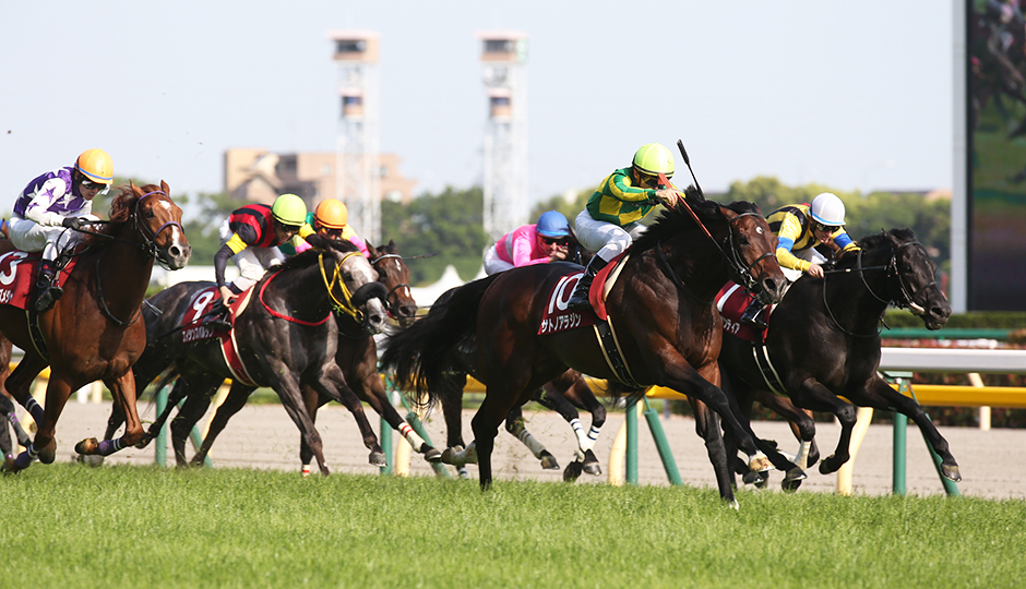 京王杯スプリングカップ 17 出走馬とデータ分析 軸馬キャンベルジュニアはほぼ確定 フランケルjr の競馬予想