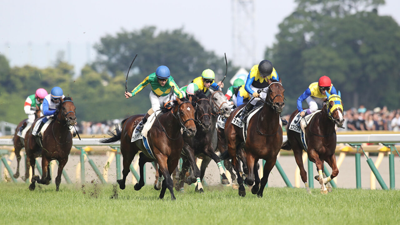 東京優駿 日本ダービー 17 データ分析 ペルシアンナイトは押さえないといけない フランケルjr の競馬予想