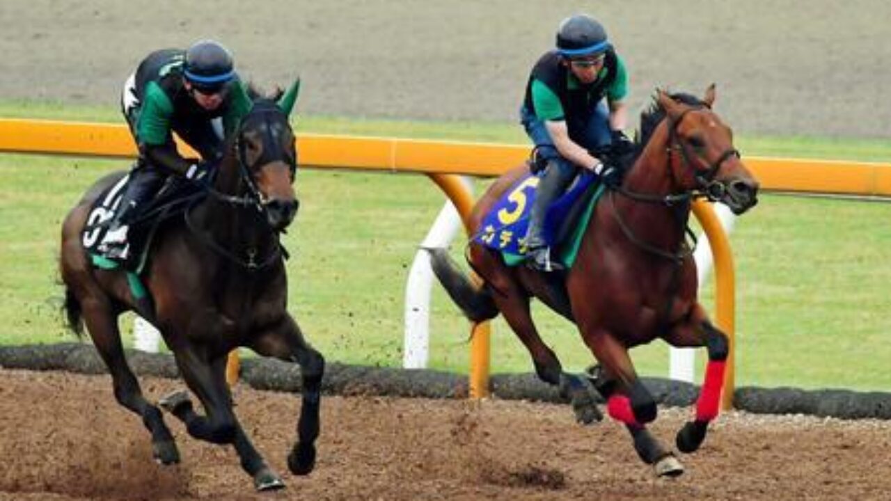 東京優駿 日本ダービー 17 追い切り診断 各馬好仕上がり 注目の一頭は フランケルjr の競馬予想