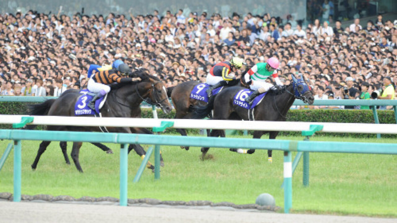 宝塚記念 17 16年宝塚記念 キタサンブラックの敗因を考える フランケルjr の競馬予想