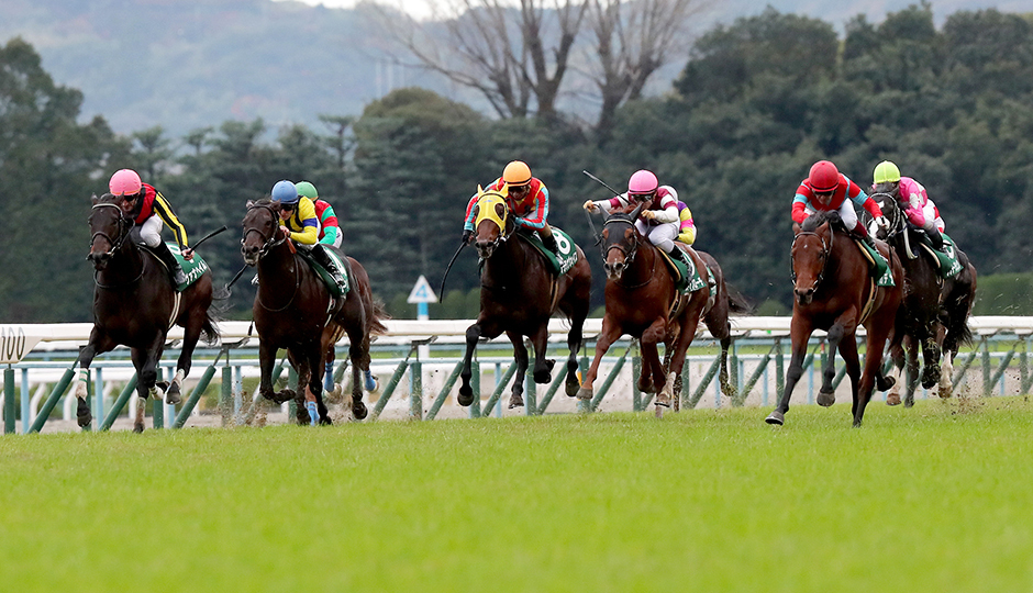 ラジオnikkei賞京都2歳ステークス 2017 出走予定馬とデータ分析 ここもデムーロのスラッシュメタルか フランケルjr の競馬予想