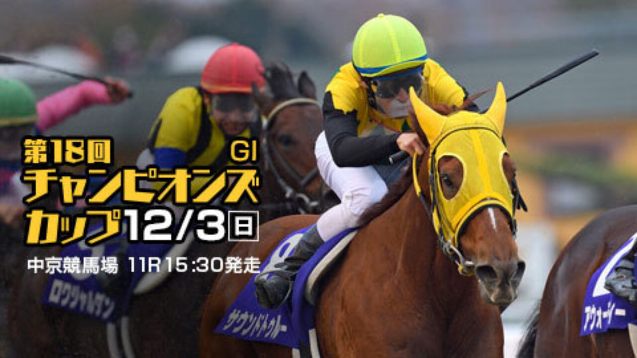 チャンピオンズカップ 17 最終予想 馬連 3連複で万馬券狙いの穴馬予想 フランケルjr の競馬予想