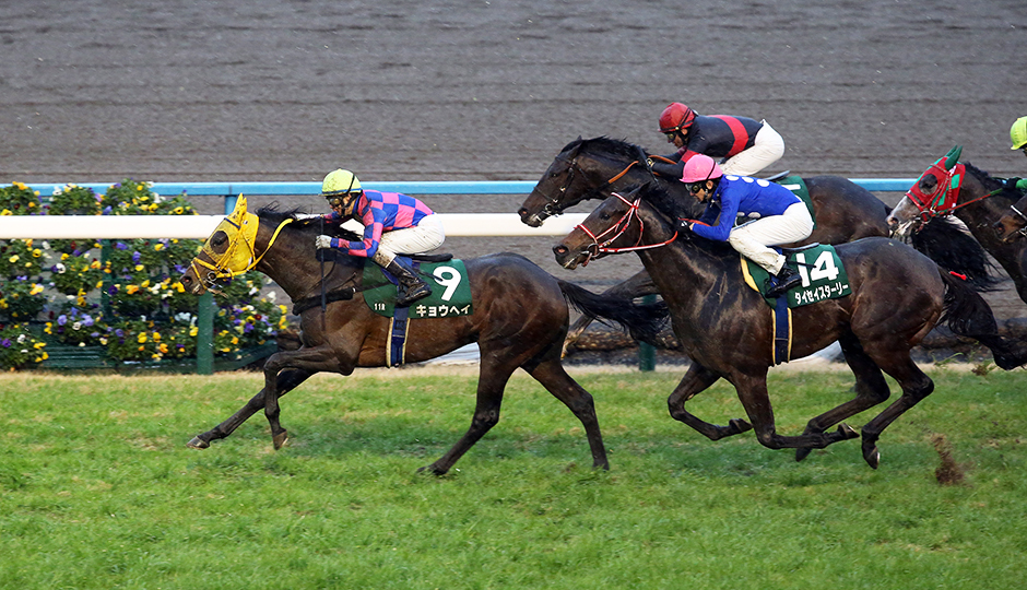 東京ダービー21最終予想 アランバローズ本命も狙う穴馬はココ フランケルjr の競馬予想