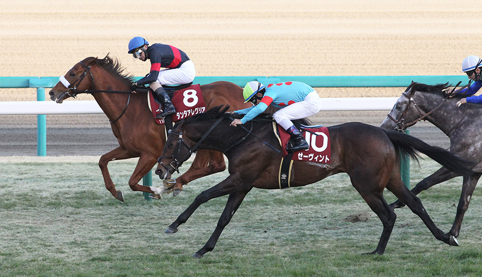 Ajcc 18 出走馬とデータ分析 素直な予想に落ち着いた方が良さそうです フランケルjr の競馬予想