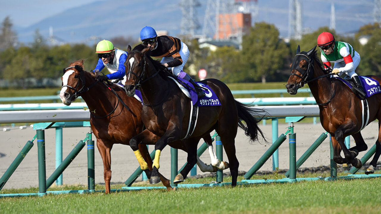 大阪杯 単勝人気9番人気以内から 本命アルアインに一歩前進 18年 フランケルjr の競馬予想