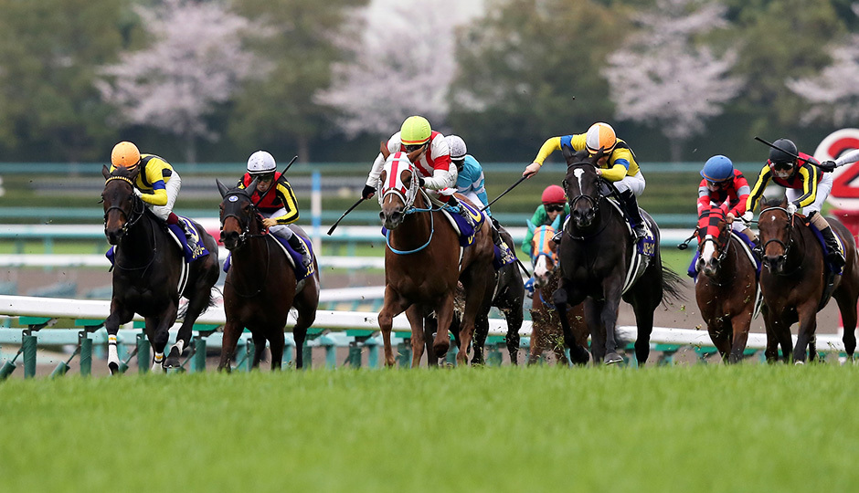 桜花賞2018 データ分析 ラッキーライラック マウレア リリーノーブルの3頭で決まりか フランケルjr の競馬予想