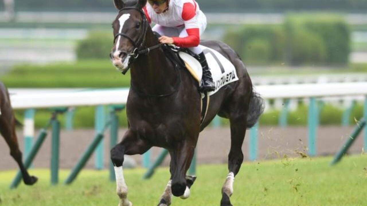 東京優駿 日本ダービー18 特別登録馬紹介 軸馬 穴馬候補を前走から考える フランケルjr の競馬予想
