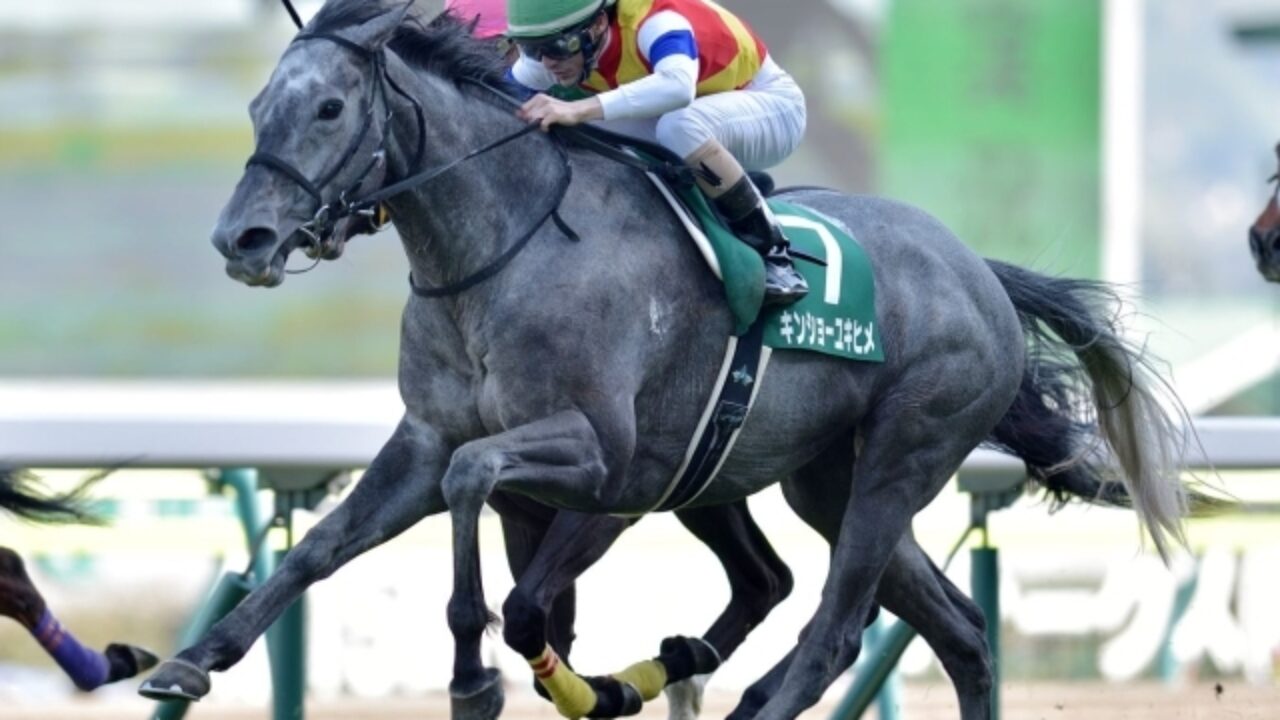 七夕賞18出走馬分析 穴馬はマイネルか 牝馬か フランケルjr の競馬予想