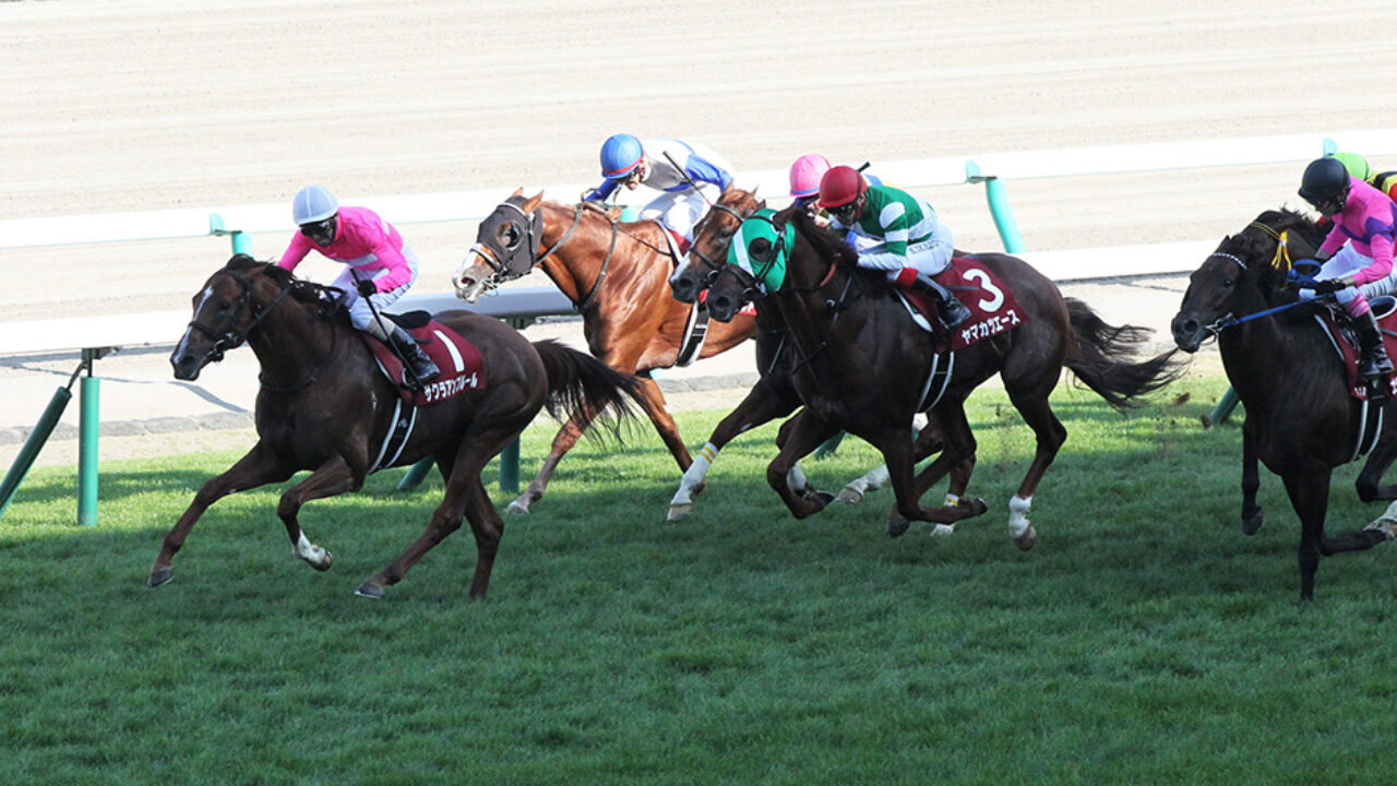 札幌記念2018出走馬とデータ分析 ナイトオブナイツが穴をあける フランケルjr の競馬予想