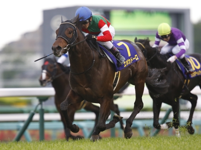 競馬 菊花賞2018予想 エポカドーロ戸崎は買うべきか 買わざるべきか フランケルjr の競馬予想