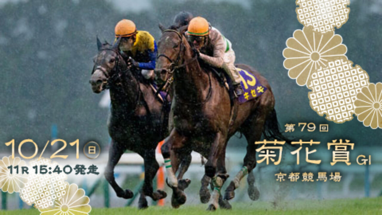 競馬 菊花賞2018枠順確定 エポカドーロ ジェネラーレウーノが好枠ゲット フランケルjr の競馬予想