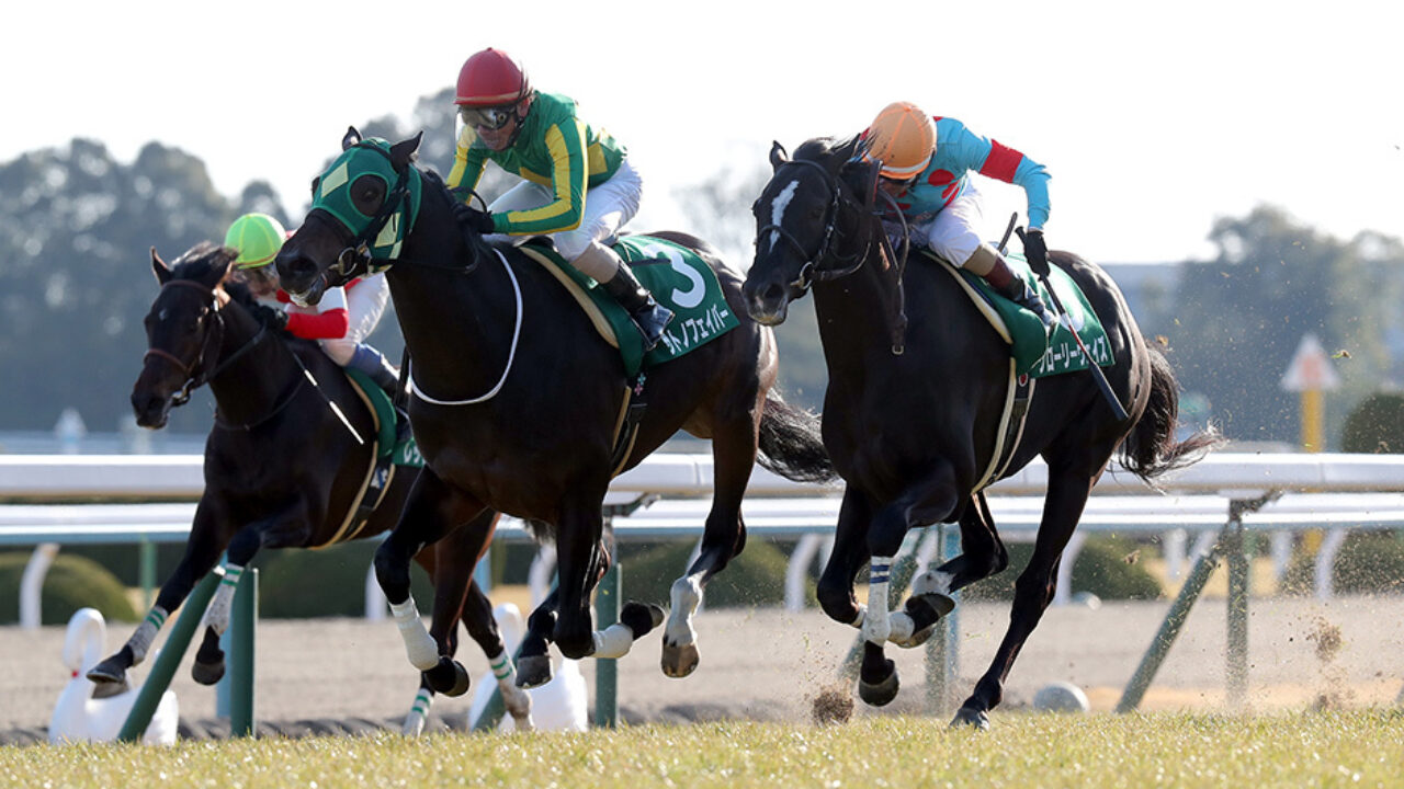 きさらぎ賞2019出走馬分析アガラス 戸崎騎手がやってくれるか 2019年2月3日 フランケルjr の競馬予想