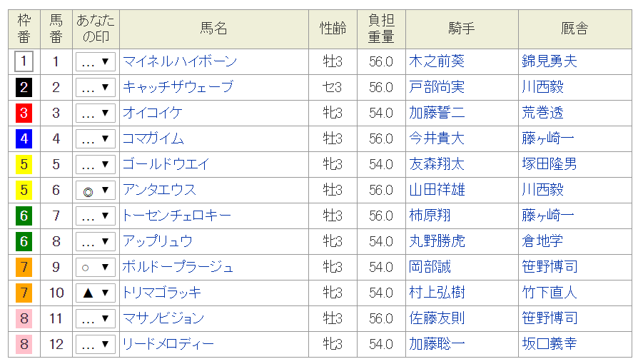 新春ペガサスカップ2019予想│1月16日の名古屋競馬全レースを3連単予想してみた！