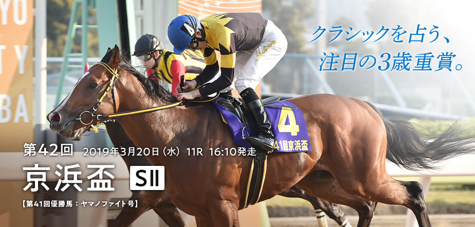 大井競馬 京浜盃19最終予想 ウィンターフェルから穴馬へ流す 19年3月日 フランケルjr の競馬予想