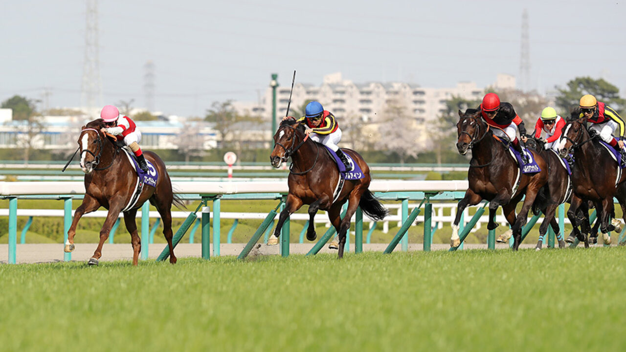 大阪杯19データ分析 ワグネリアンかブラストワンピースか フランケルjr の競馬予想