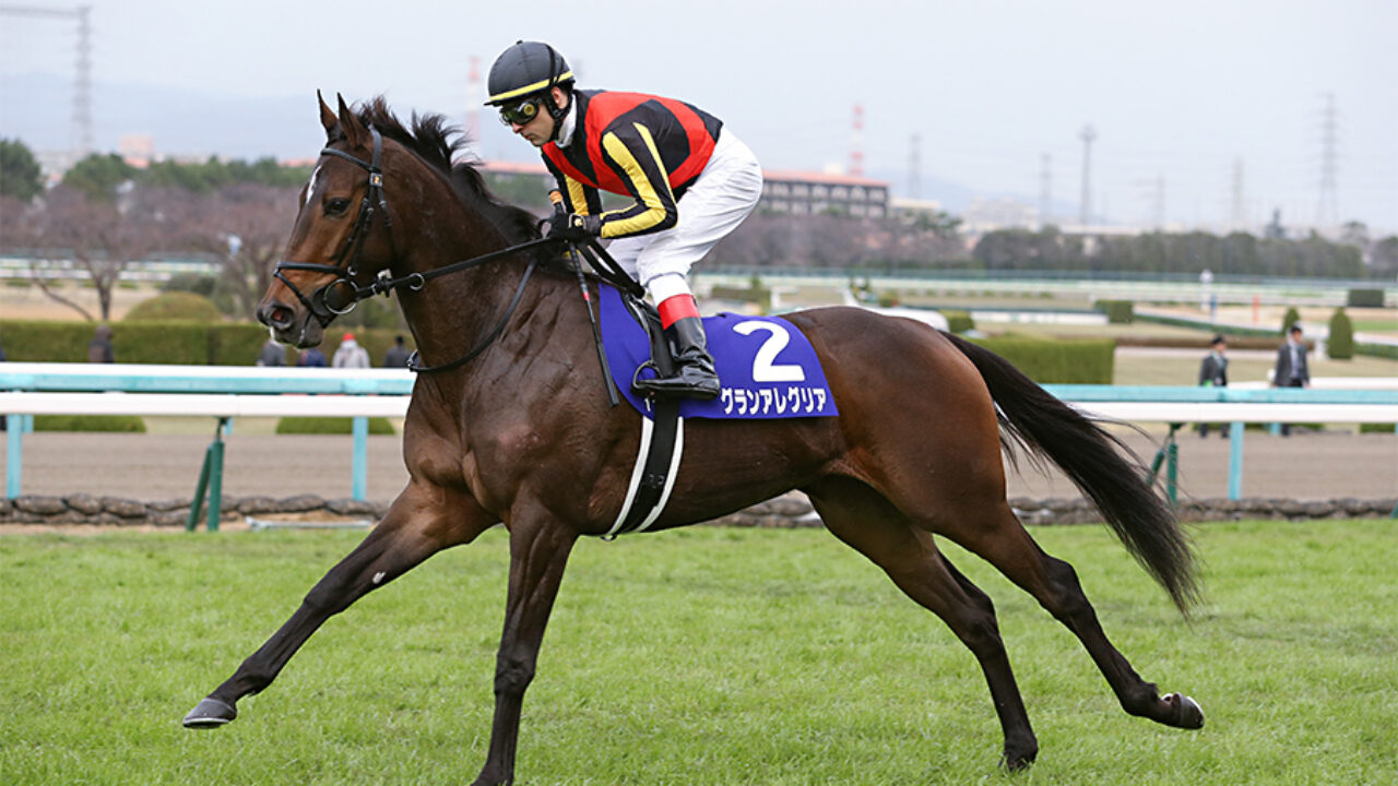 桜花賞2019｜3連単24点予想で勝負！本命3頭、穴馬3頭で馬券を