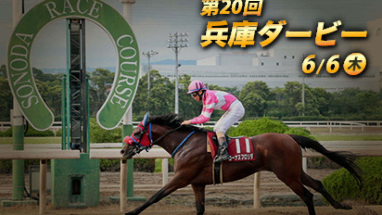 兵庫ダービー19予想 2頭軸3連単9点予想 展開予想で逆転の一頭をピックアップ 19年6月6日 フランケルjr の競馬予想