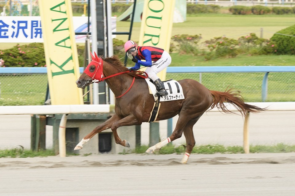 東京ダービー19予想 ミューチャリーかウィンターフェルか 展開予想で紐解く フランケルjr の競馬予想