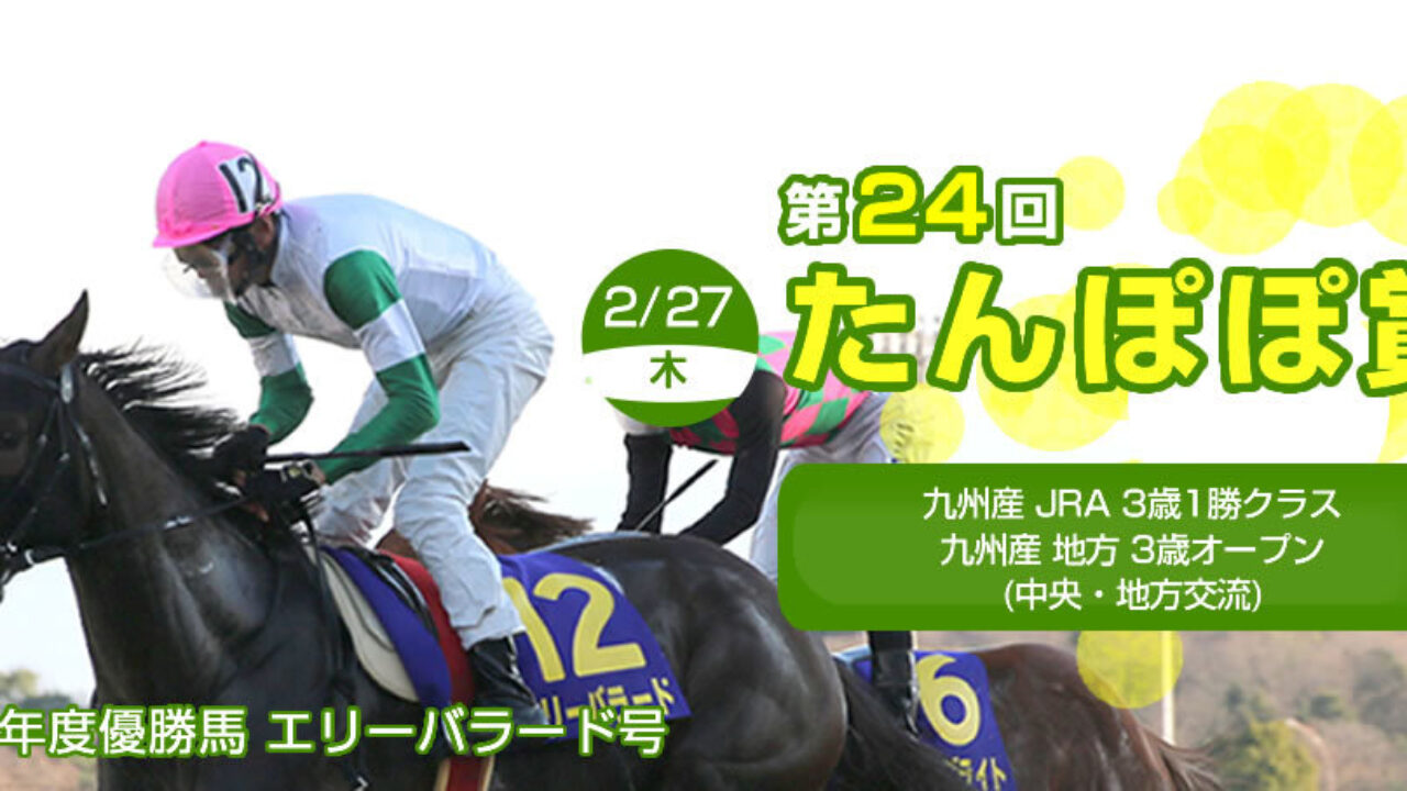 たんぽぽ賞予想 2強対決 2頭軸で相手を絞って2点で勝負 フランケルjr の競馬予想