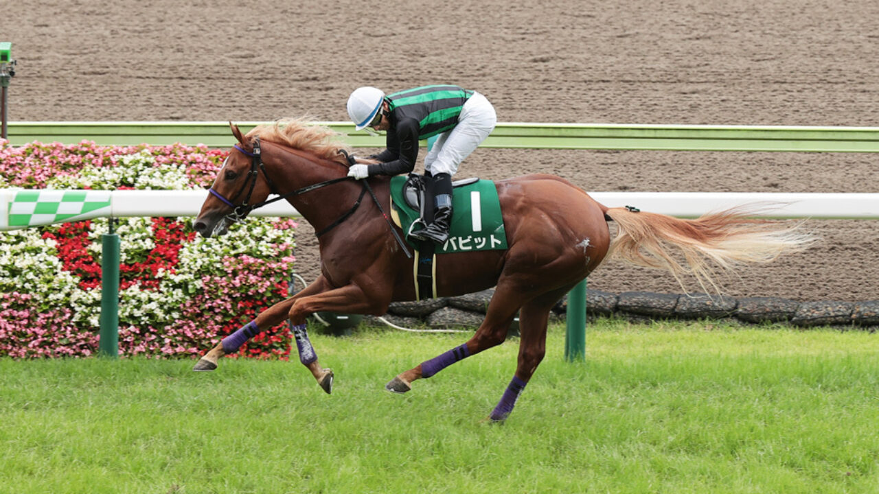ラジオnikkei賞2021予想 土曜馬場から外枠に寄せて馬連4点勝負 フランケルjr の競馬予想