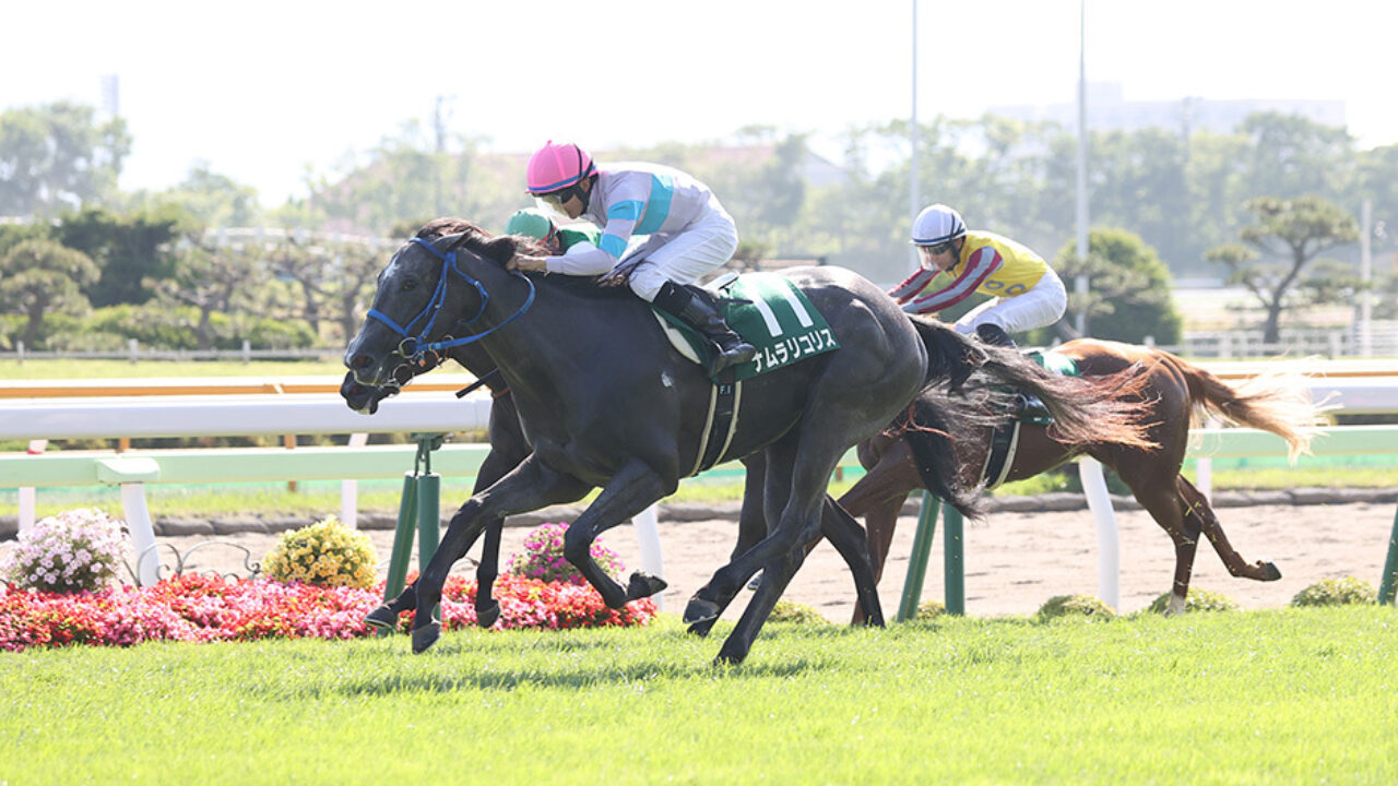 函館2歳ステークス22最終予想 リンゴアメの再来 ニーナブランドから フランケルjr の競馬予想