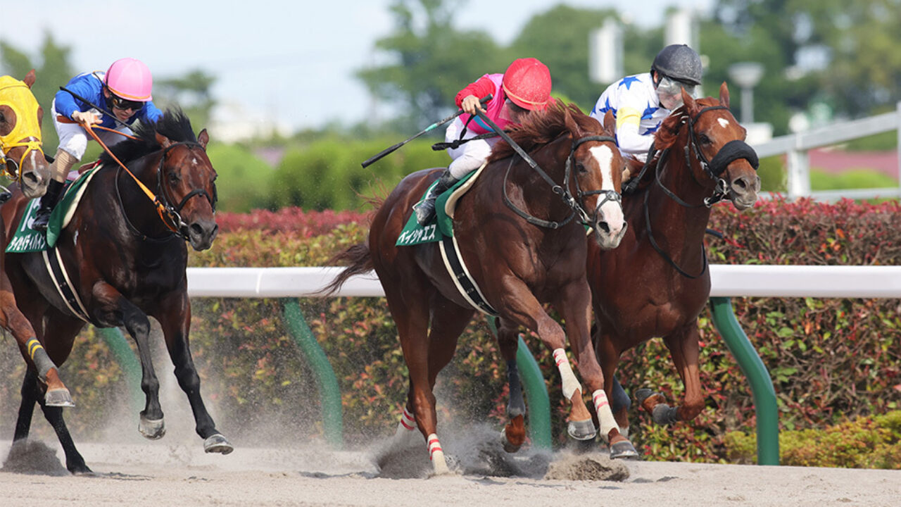 ☆最強の競馬予想☆的中率重視コース（2日間分） - 競馬